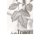 A - Trauer – Beileid – Kondolenz - Trauerkarte im Format 11,5 x 17 cm mit Umschlag - Blätter - mit Textvorschlägen