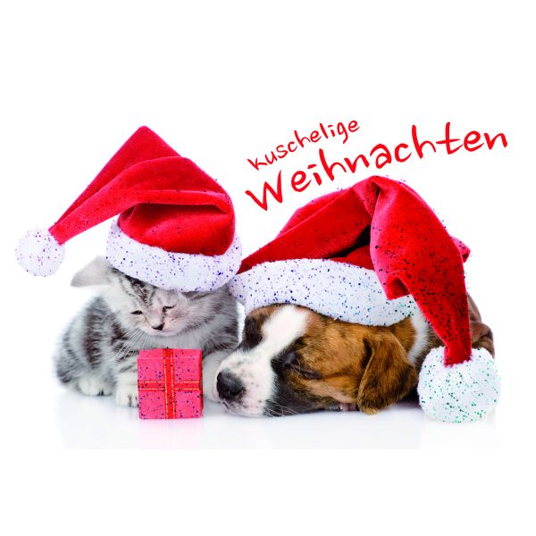 Weihnachten Grußkarte Glückwunschkarte mit Umschlag Schlafender Hund und