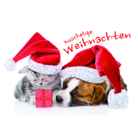 Weihnachten Grußkarte Glückwunschkarte mit...