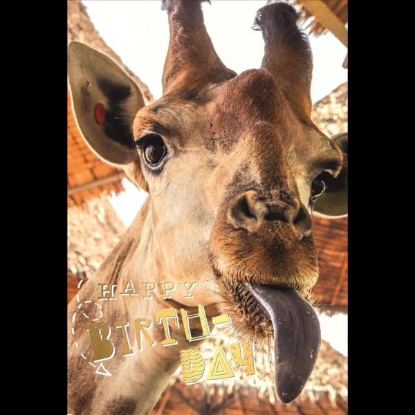 Geburtstag Glückwunschkarte mit Umschlag Giraffe mit Goldfolie