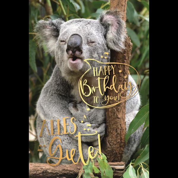 Geburtstag Glückwunschkarte mit Umschlag Koala