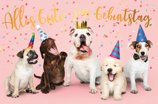 Geburtstag - Glückwunschkarte im Format 11,5 x 17 cm mit Umschlag - Hunde mit Partyhüten - mit Goldfolie