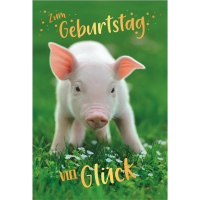 Geburtstag Glückwunschkarte mit Umschlag Ferkel