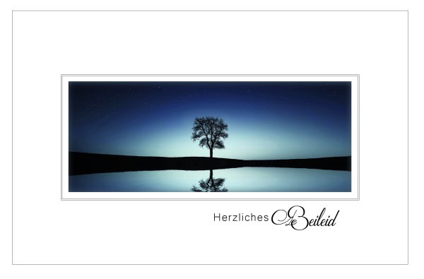Trauer – Beileid – Kondolenz - Trauerkarte im Format 11,5 x 17 cm mit Umschlag - Baum spiegelt sich im Wasser