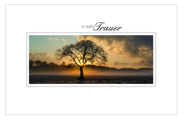 A - Trauer – Beileid – Kondolenz - Trauerkarte im Format 11,5 x 17 cm mit Umschlag - Baum auf Wiese