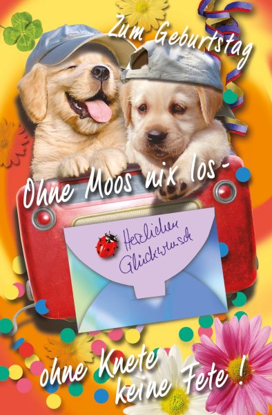 Geburtstag – Geldkarte - Glückwunschkarte im Format 11,5 x 17 cm mit Umschlag - kleine Hunde mit Cappy