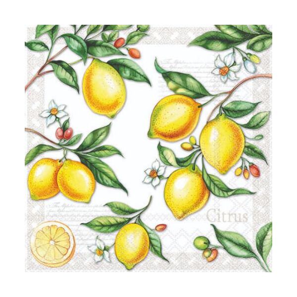 Cocktail Servietten 25 x 25 cm 3-lagig 20 Servietten Citrus FSC Mix Zitrus