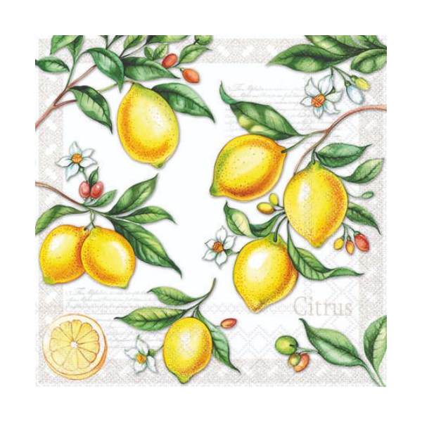 Cocktail Servietten 25 x 25 cm 3-lagig 20 Servietten Citrus FSC Mix Zitrus