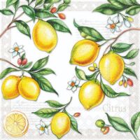 Cocktail Servietten 25 x 25 cm 3-lagig 20 Servietten...