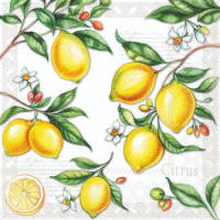 Cocktail Servietten 25 x 25 cm 3-lagig 20 Servietten...