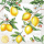 Cocktail Servietten 25 x 25 cm 3-lagig 20 Servietten Citrus FSC Mix Zitrus