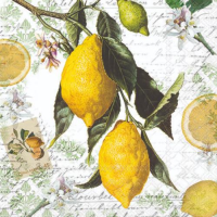 Cocktail Servietten 25 x 25 cm 3-lagig 20 Servietten...