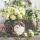Cocktail Servietten 25 x 25 cm 3-lagig 20 Servietten White Tulips FSC Mix weisse Tulpen