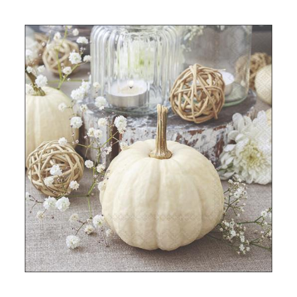 A-2026 Cocktail Servietten 25 x 25 cm 3-lagig 20 Servietten Modern Pumpkin moderner Kürbis