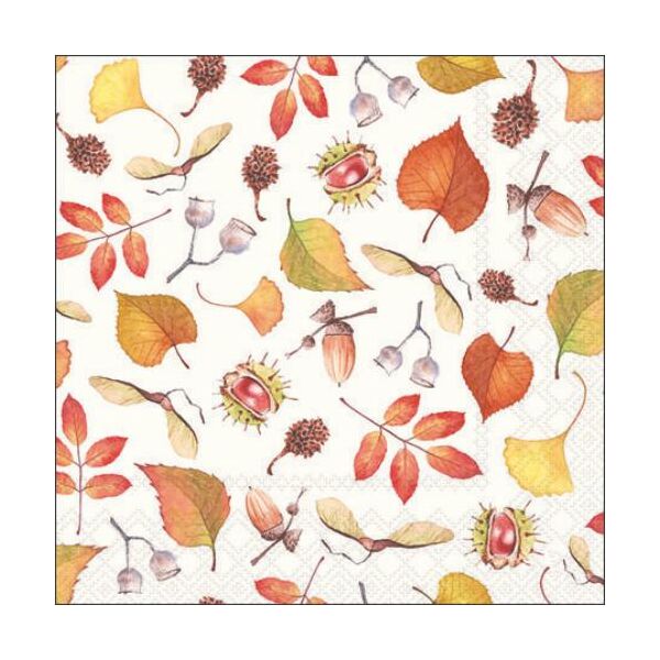 Herbst Servietten Cocktail 25x25 cm 3-lagig 20 Servietten Autumn Details Herbstblätter