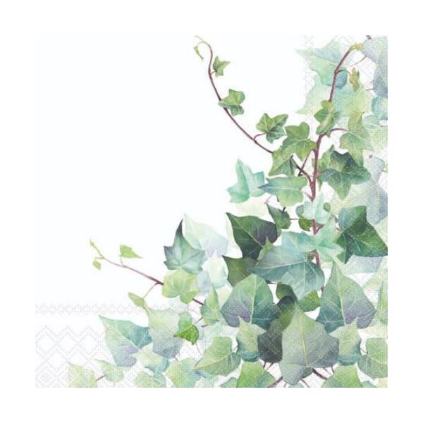 Cocktail Servietten 25 x 25 cm 3-lagig 20 Servietten Hedera White FSC Mix Efeu weiss