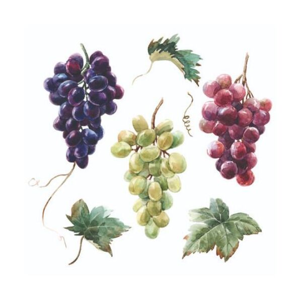 Cocktail Servietten 25 x 25 cm 3-lagig 20 Servietten Wine Grapes FSC Mix Weintrauben