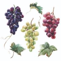 Cocktail Servietten 25 x 25 cm 3-lagig 20 Servietten Wine...
