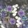 Cocktail Servietten 25 x 25 cm 3-lagig 20 Servietten Lunaria Grey FSC Mix Silberblatt grau