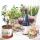 Cocktail Servietten 25 x 25 cm 3-lagig 20 Servietten Wine & Herbs Wein & Kräuter