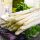 Servietten Lunch Spargel Asparagus Mix