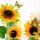 Servietten 33x33 cm 3-lagig, 20 Servietten, Sunny Butterfly Sonnenblumen Schmetterlinge