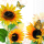 Servietten 33x33 cm 3-lagig, 20 Servietten, Sunny Butterfly Sonnenblumen Schmetterlinge