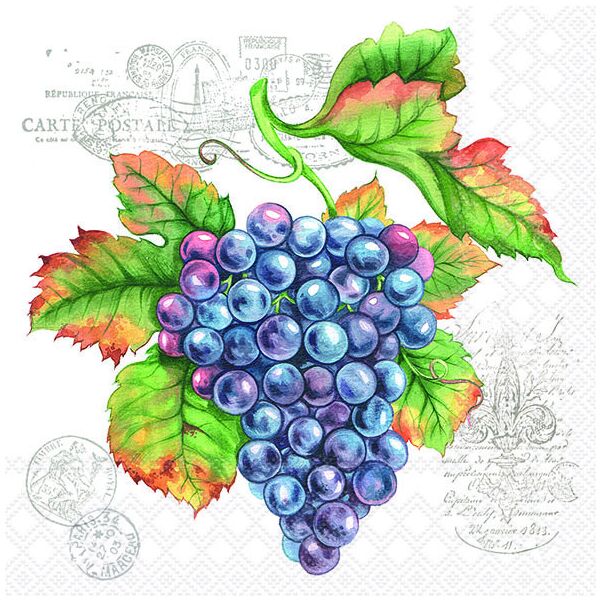 Servietten Lunch Trauben Grape Vine