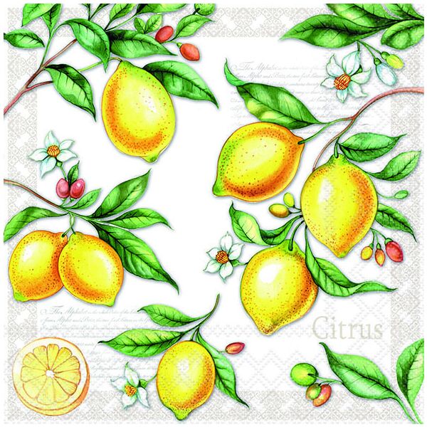 Servietten Lunch Citrus Zitronen 33x33cm 20 Servietten
