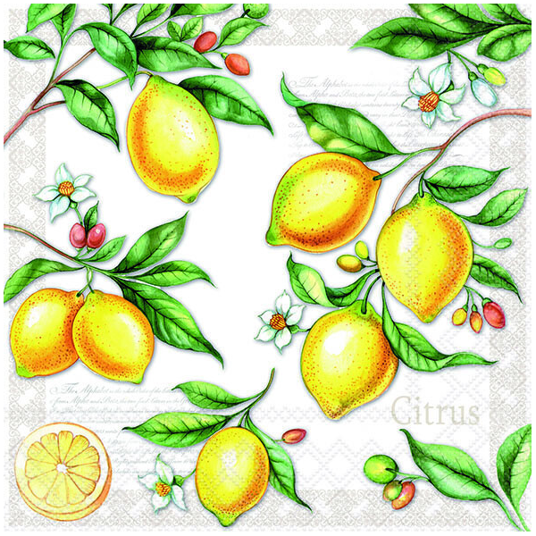 Servietten Lunch Citrus Zitronen 33x33cm 20 Servietten