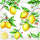 Servietten Lunch Citrus Zitronen 33x33cm 20 Servietten
