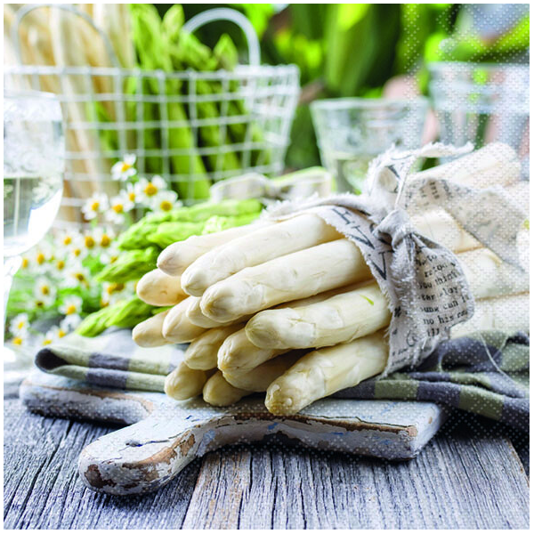 Servietten Lunch Napkin Lunch Format: 33 x 33 cm 3-lagig 20 Servietten Bound of Asparagus Bund Spargel