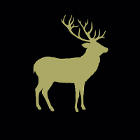 Servietten Lunch 33 x 33 cm 3-lagig 20 Servietten Deer...
