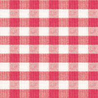 Servietten Lunch rot weiß kariert Square Red