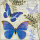 Servietten Lunch – Napkin Lunch – Format: 33 x 33 cm – 3-lagig – 20 Servietten pro Packung - Blue Morpho – Schmetterling - Ambiente