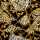 Servietten Lunch Napkin 33 x 33 cm 3-lagig 20 Servietten Golden Pattern Black