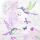 A Servietten Lunch Pale Hummingbirds Kolibri 33 x 33 cm 20 Servietten
