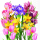 Servietten Lunch Napkin Lunch Format: 33 x 33 cm 3-lagig 20 Servietten Spring Garden Frühlingsgarten