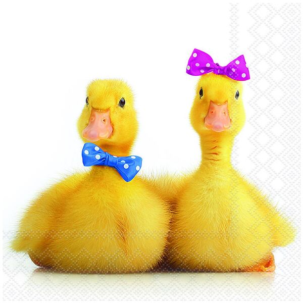 Servietten Lunch Little Ducks kleines Entenpaar