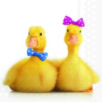 Servietten Lunch Little Ducks kleines Entenpaar
