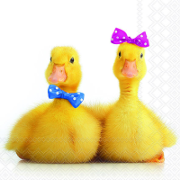 Servietten Lunch Little Ducks kleines Entenpaar