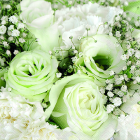 Servietten Lunch Roses Bouquet Rosenstrauss 33 x 33 cm 20...