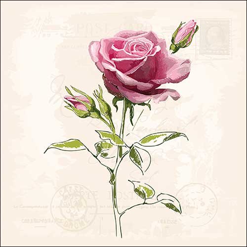 Servietten Lunch – Napkin Lunch – Format: 33 x 33 cm – 3-lagig – 20 Servietten pro Packung - Vintage Rose – Vintage rosa