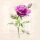 Servietten Lunch Vintage Rose Rose 33x33cm 20 Servietten