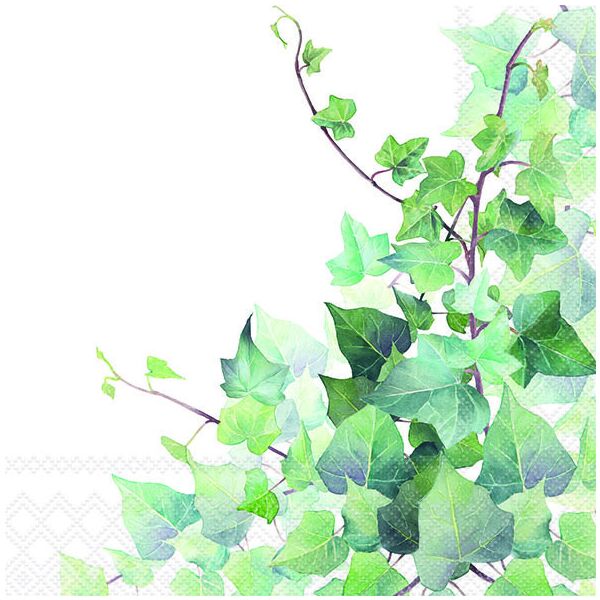 Servietten Lunch Napkin Lunch Format: 33 x 33 cm 3-lagig 20 Servietten Hedera White Efeu