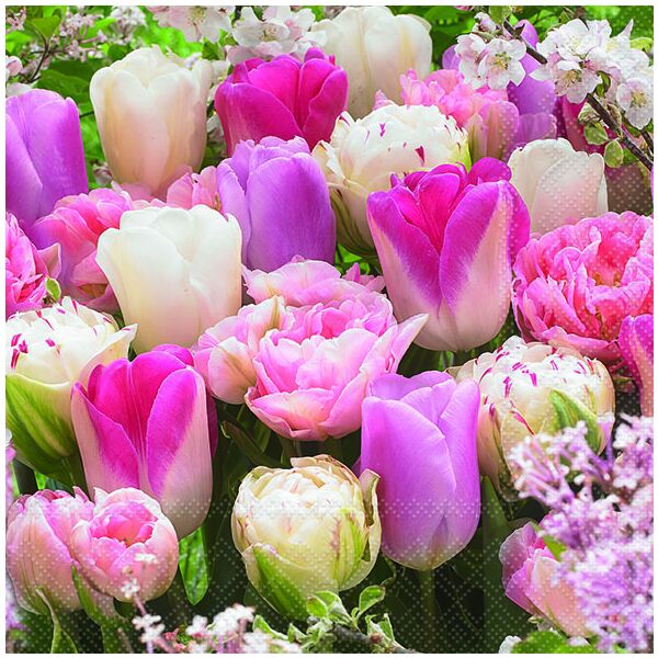 Servietten Lunch Pink Tulips Tulpe pink 33 x 33 cm 20 Servietten