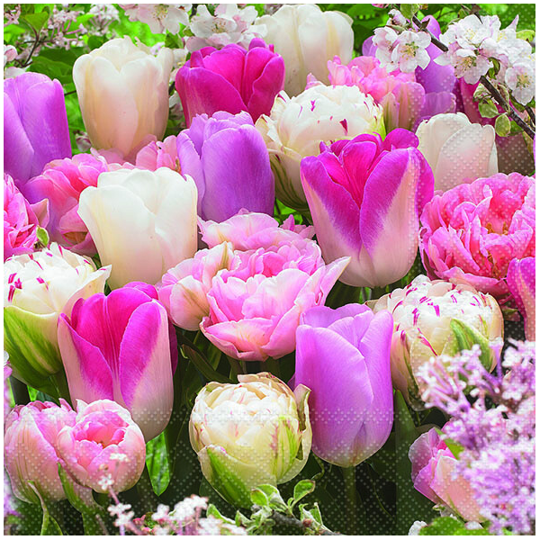 Servietten Lunch Pink Tulips Tulpe pink 33 x 33 cm 20 Servietten