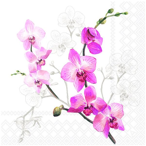 Servietten Lunch 33 x 33 cm 3-lagig 20 Servietten Orchid Orchideen
