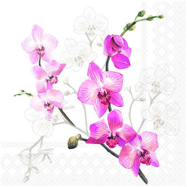 Servietten Lunch 33 x 33 cm 3-lagig 20 Servietten Orchid Orchideen