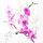 Servietten Lunch 33 x 33 cm 3-lagig 20 Servietten Orchid Orchideen